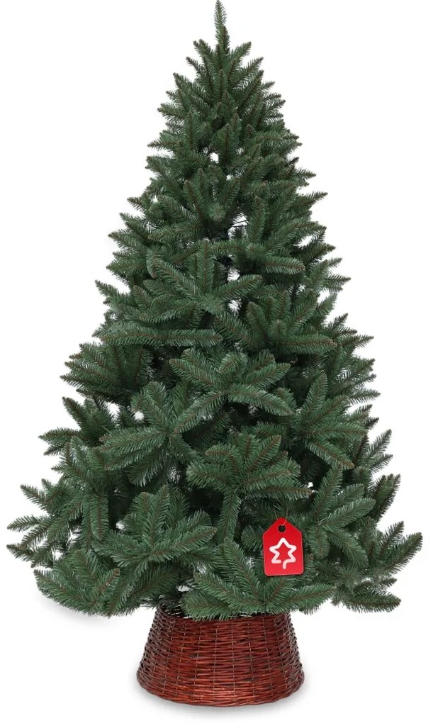 Świerk kanadyjski 150 cm