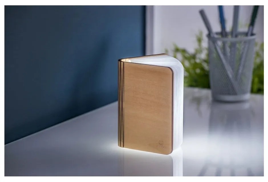 Dekoracja świetlna na USB w naturalnym kolorze Booklight – Gingko