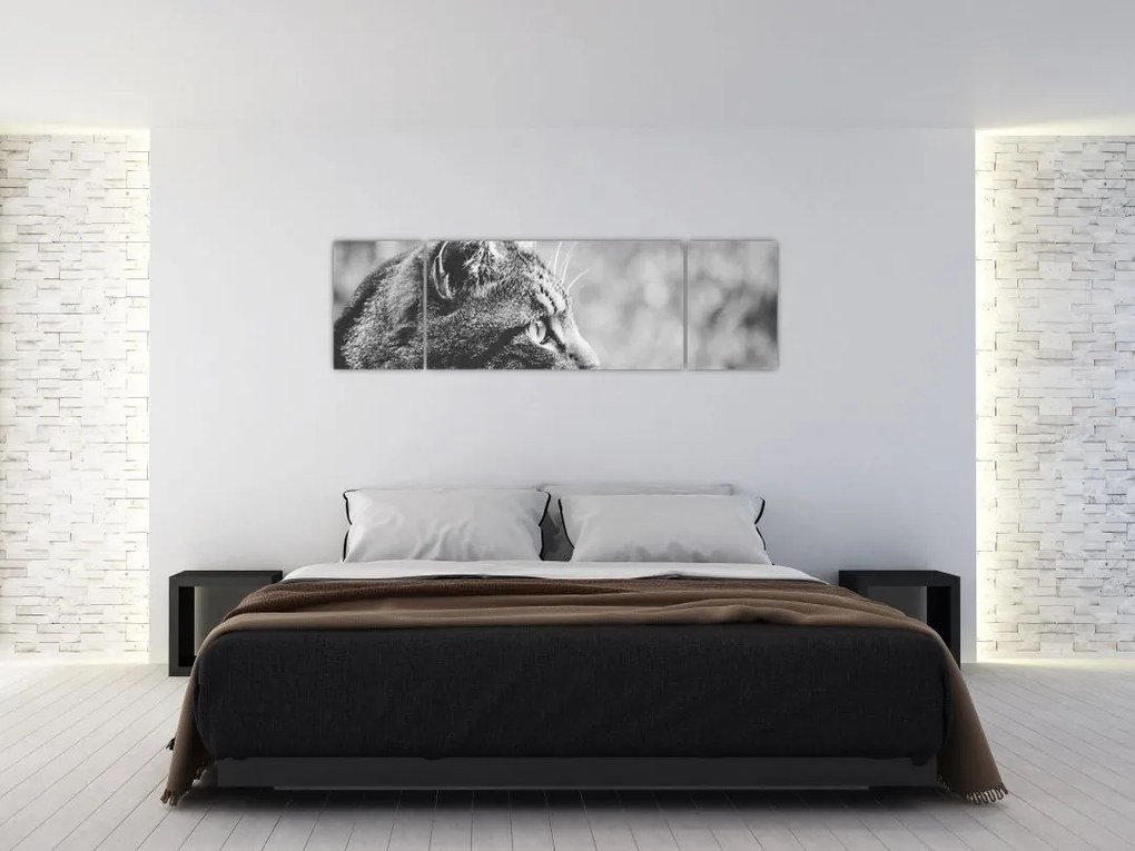 Obraz - Kot (170x50 cm)