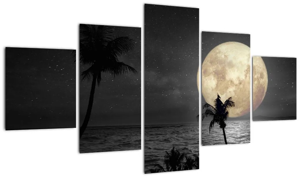 Obraz - Plaża pod pełnią księżyca w odcieniach szarości (125x70 cm)