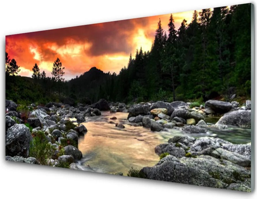 Panel Szklany Leśna Rzeka wpadająca do Jeziora