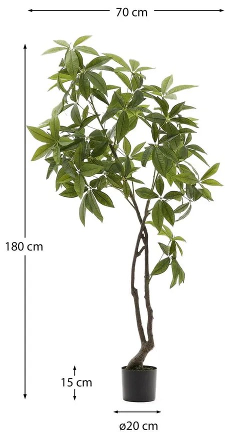 Sztuczna roślina (wysokość 180 cm) Pachira – Kave Home