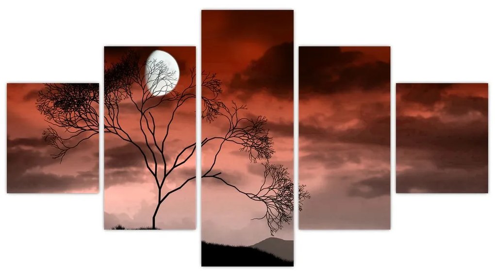 Obraz - Księżyc oświetlający noc (125x70 cm)