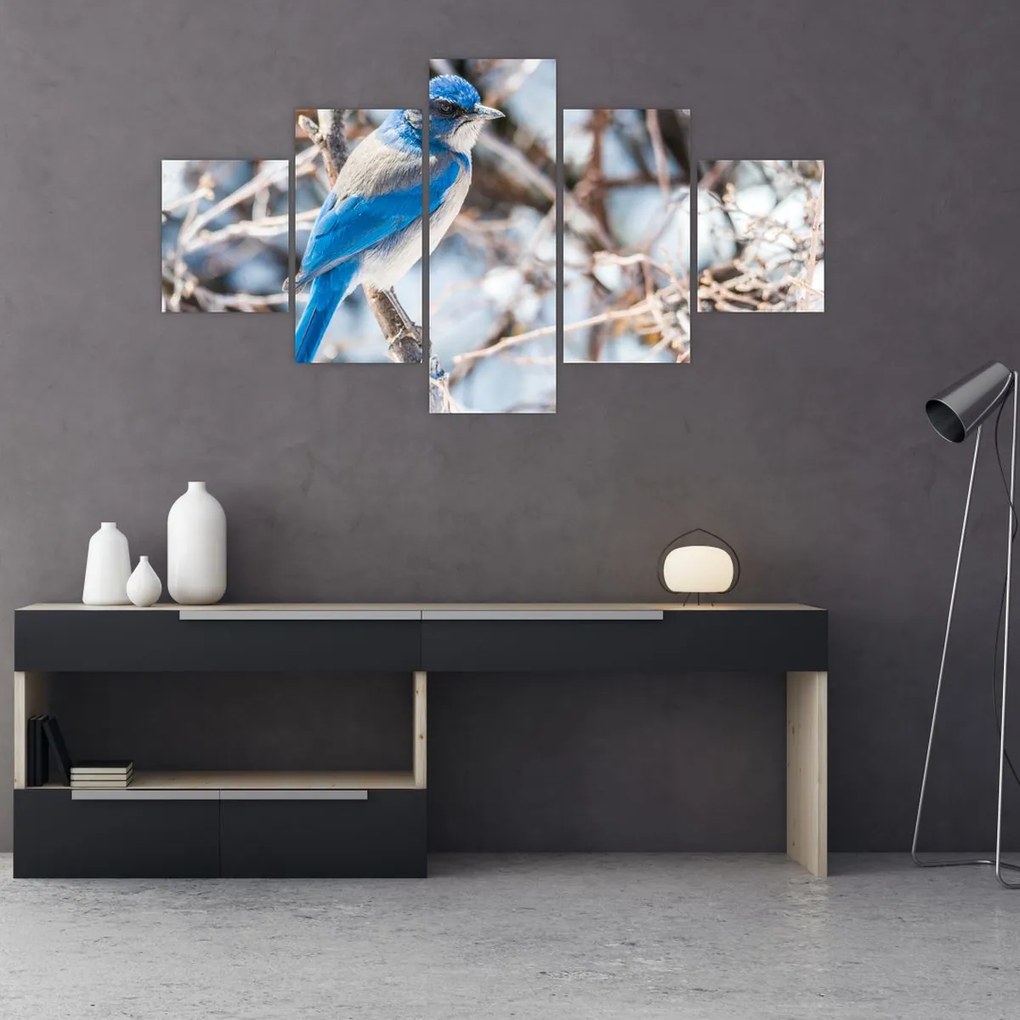 Obraz - Zimowy ptaszek (125x70 cm)
