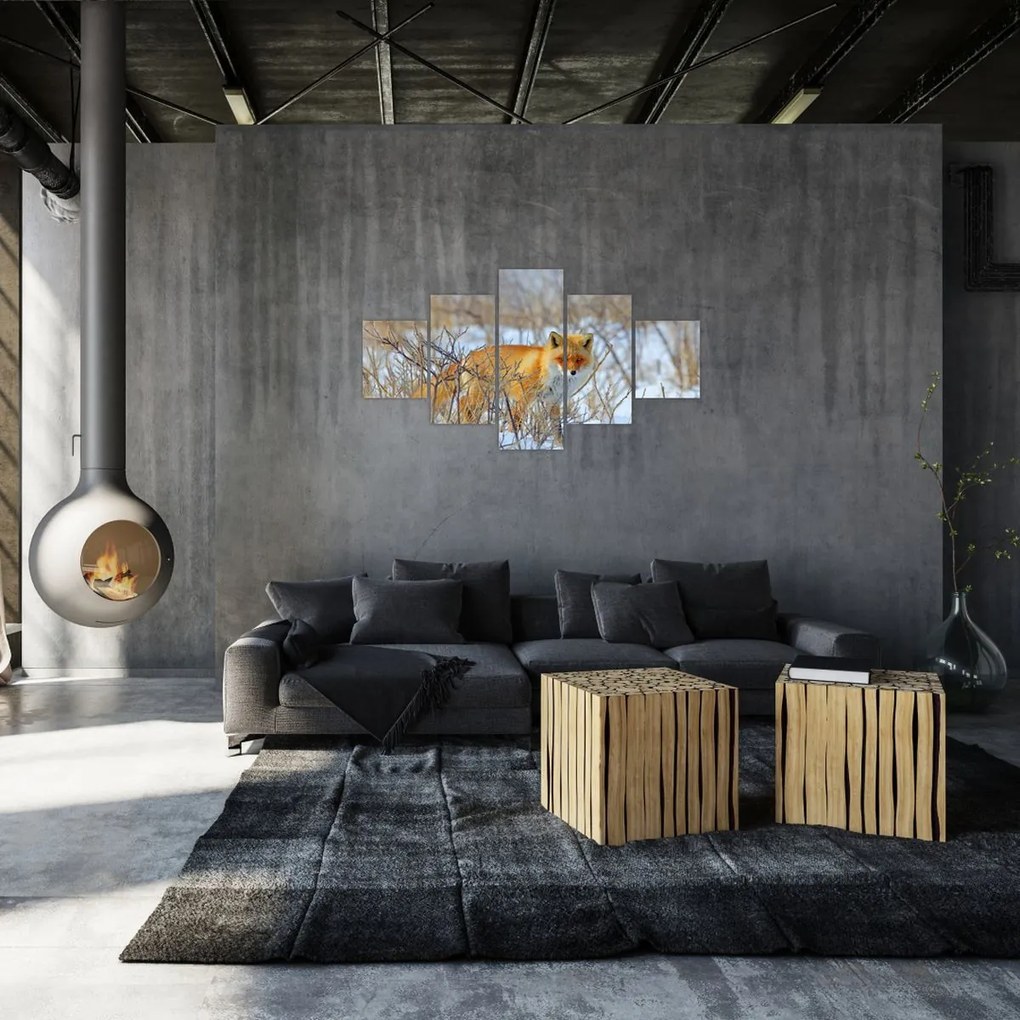 Obraz - Lis (125x70 cm)