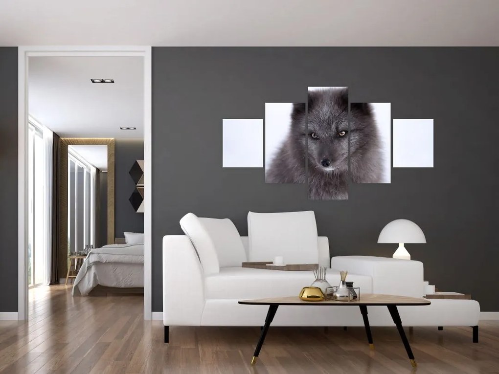 Obraz lisa śnieżnego (125x70 cm)