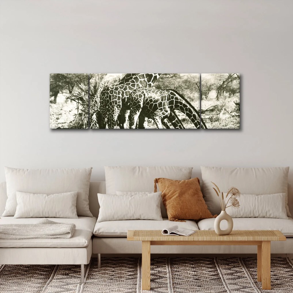 Obraz - Żyrafy, vintage (170x50 cm)