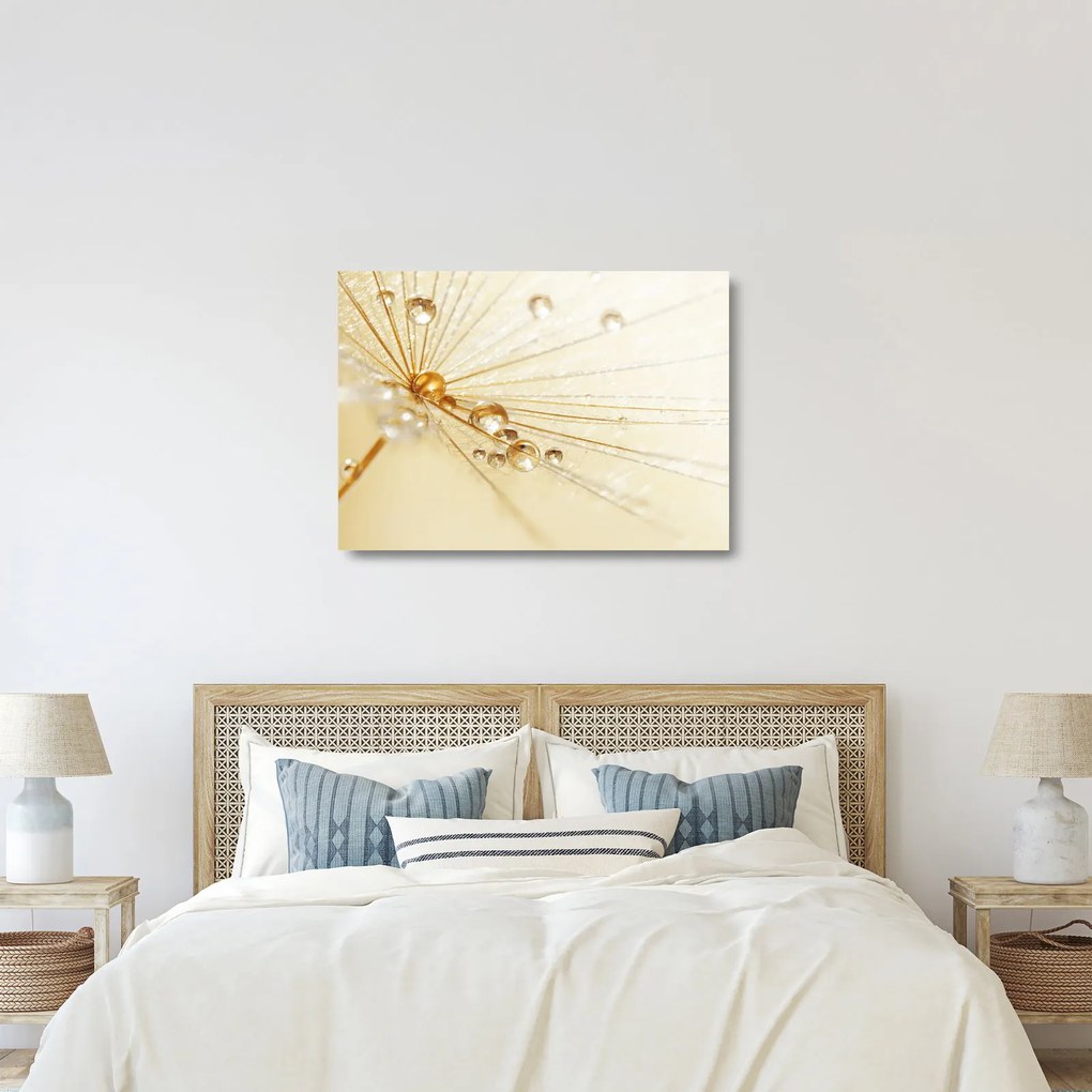 Obraz na szkle - Zdjęcie makro mniszka lekarskiego (70x50 cm)