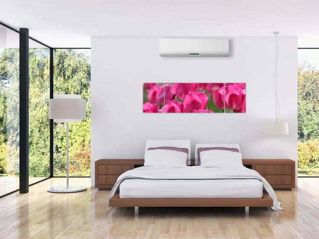 Obraz - Różowe tulipany (170x50 cm)