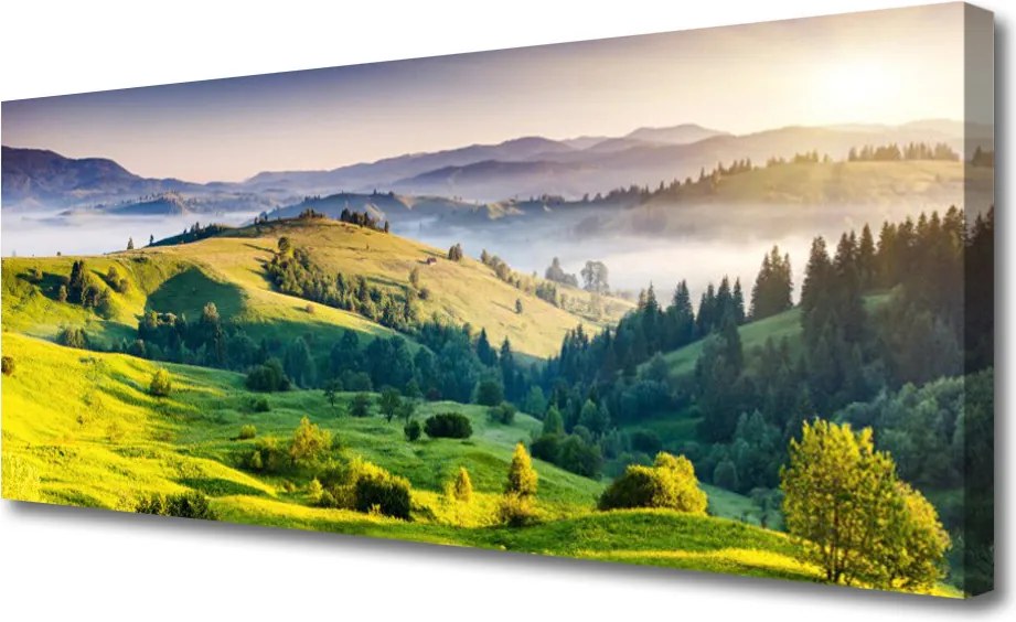 Obraz na płótnie Poranna Mgła nad Polami