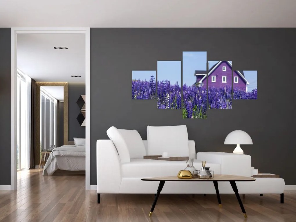 Obraz lawendowego pola (125x70 cm)