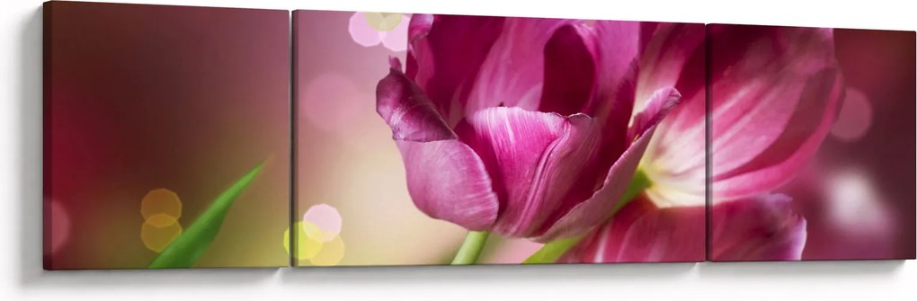 Obraz różowych tulipanów (170x50 cm)