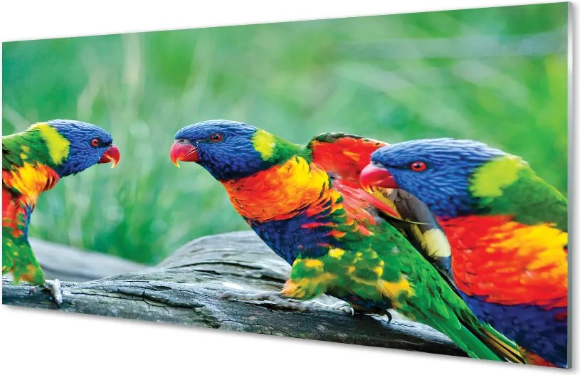 Panel Kuchenny Szklany Egzotyczne Papugi w Koronie Drzew