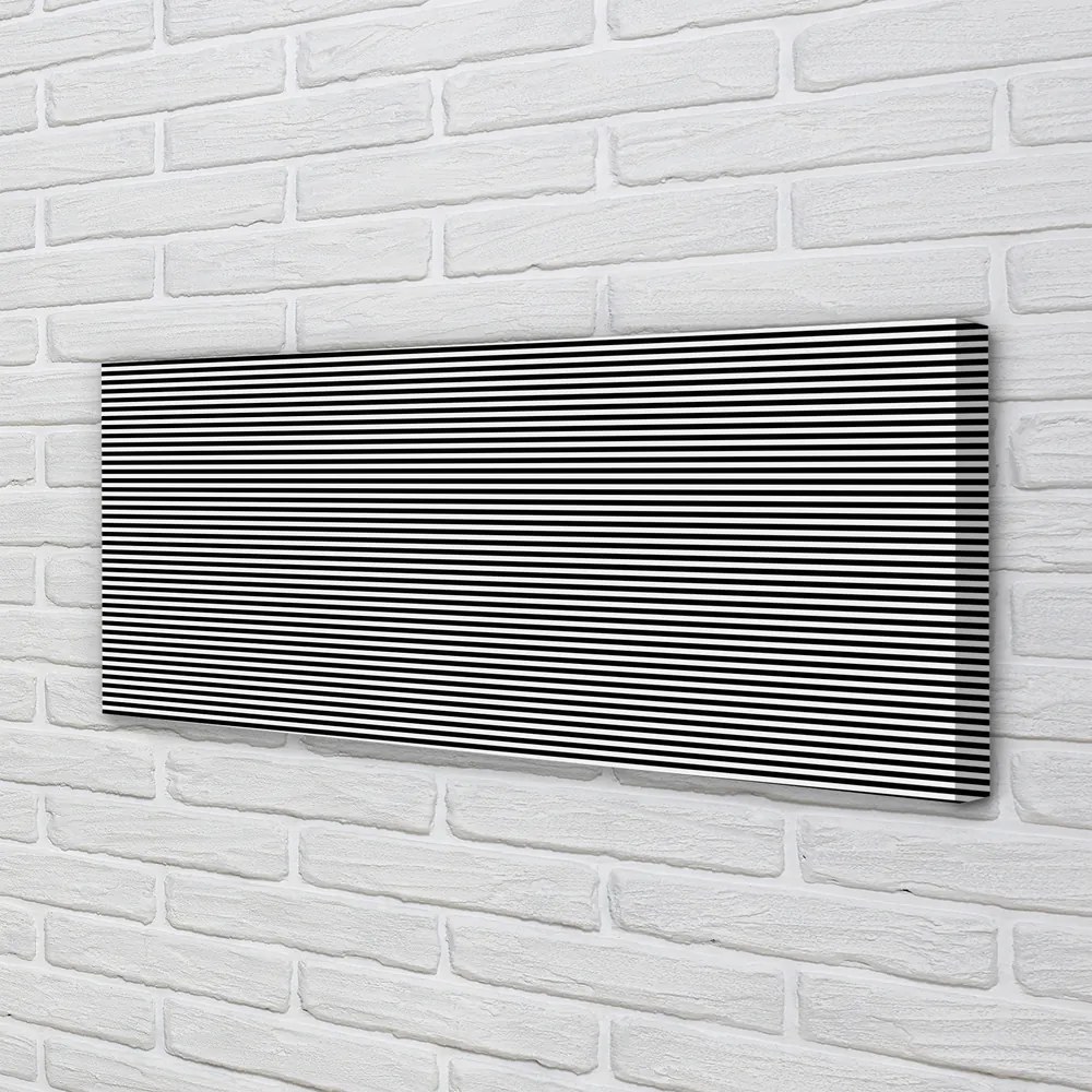 Obraz drukowany na płótnie Motyw Zwierzęcy: Zebra