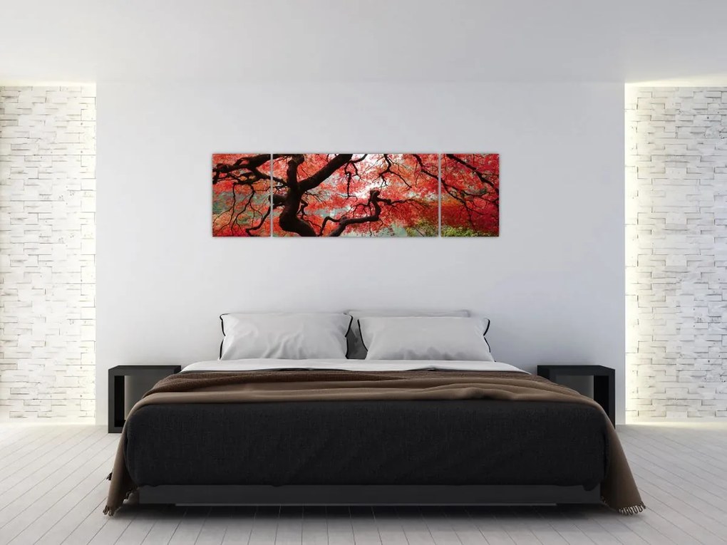 Obraz czerwonego klonu japońskiego, Portland, Oregon (170x50 cm)