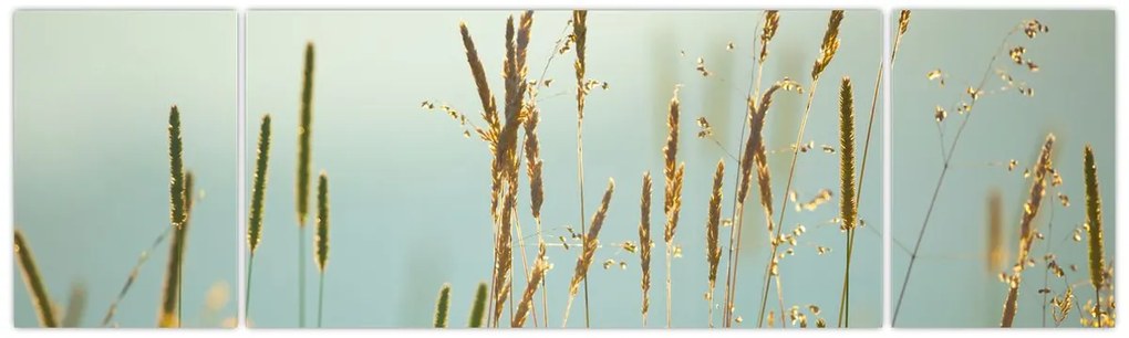 Obraz - Łąkowa chwila (170x50 cm)