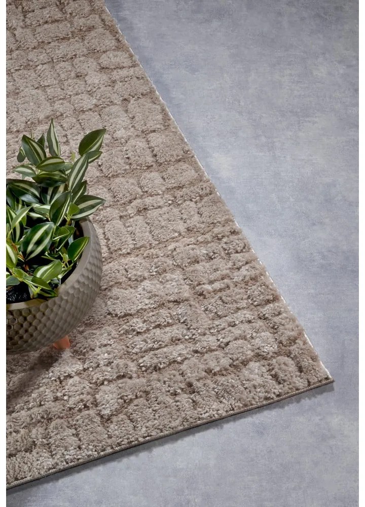 Beżowy chodnik 80x240 cm Artistique Beige – Elle Decoration