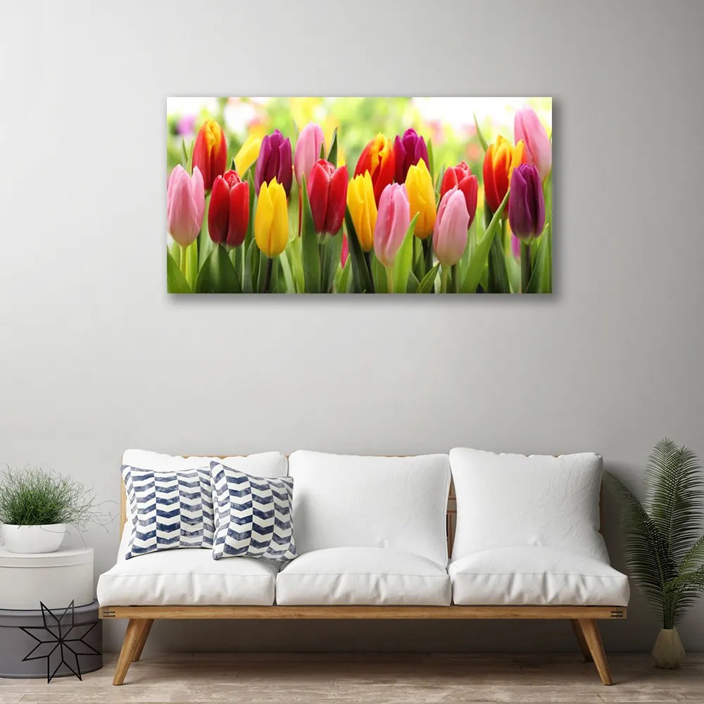 Obraz Canvas Tulipany Kwiaty Natura