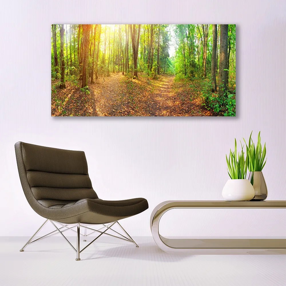 Obraz Canvas Słońce Natura Ścieżka Leśna