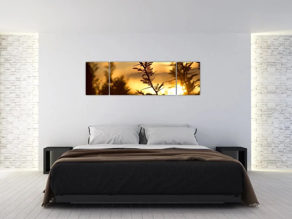 Obraz - słońce zachodzące za drzewami (170x50 cm)