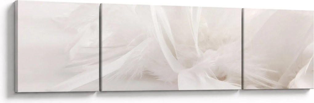 Obraz - Pióro (170x50 cm)