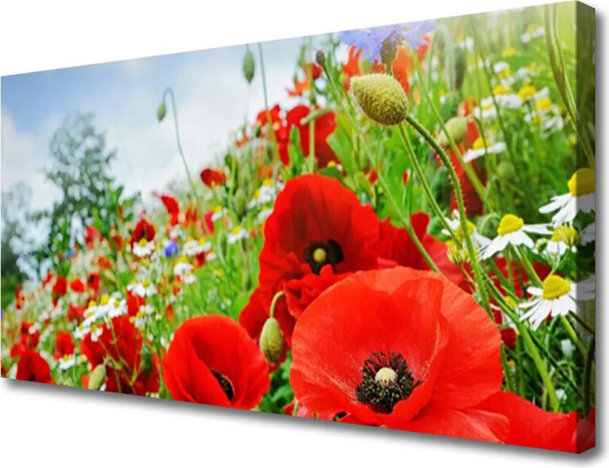 Obraz na płótnie Naturalne Piękno Kwiatów