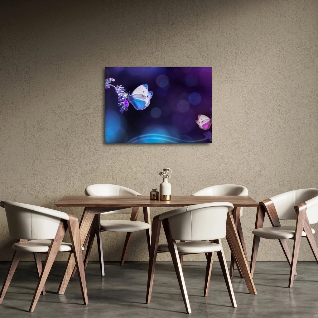 Obraz - Motyle na lawendie (70x50 cm)