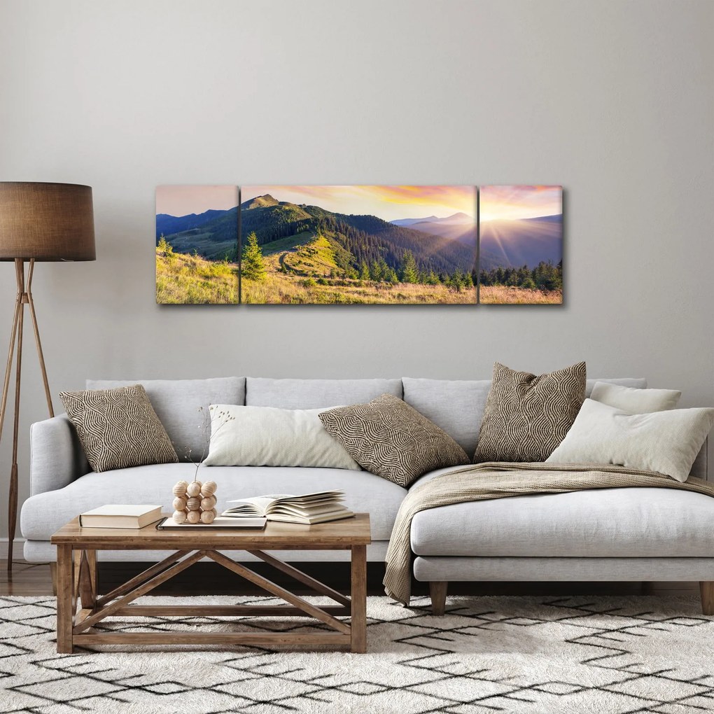 Obraz - Krajobraz leśny (170x50 cm)