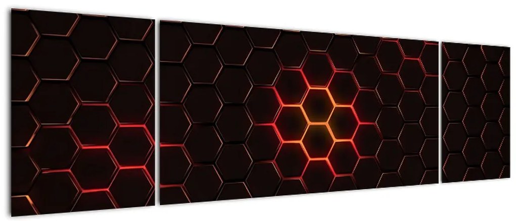 Obraz siatki (170x50 cm)