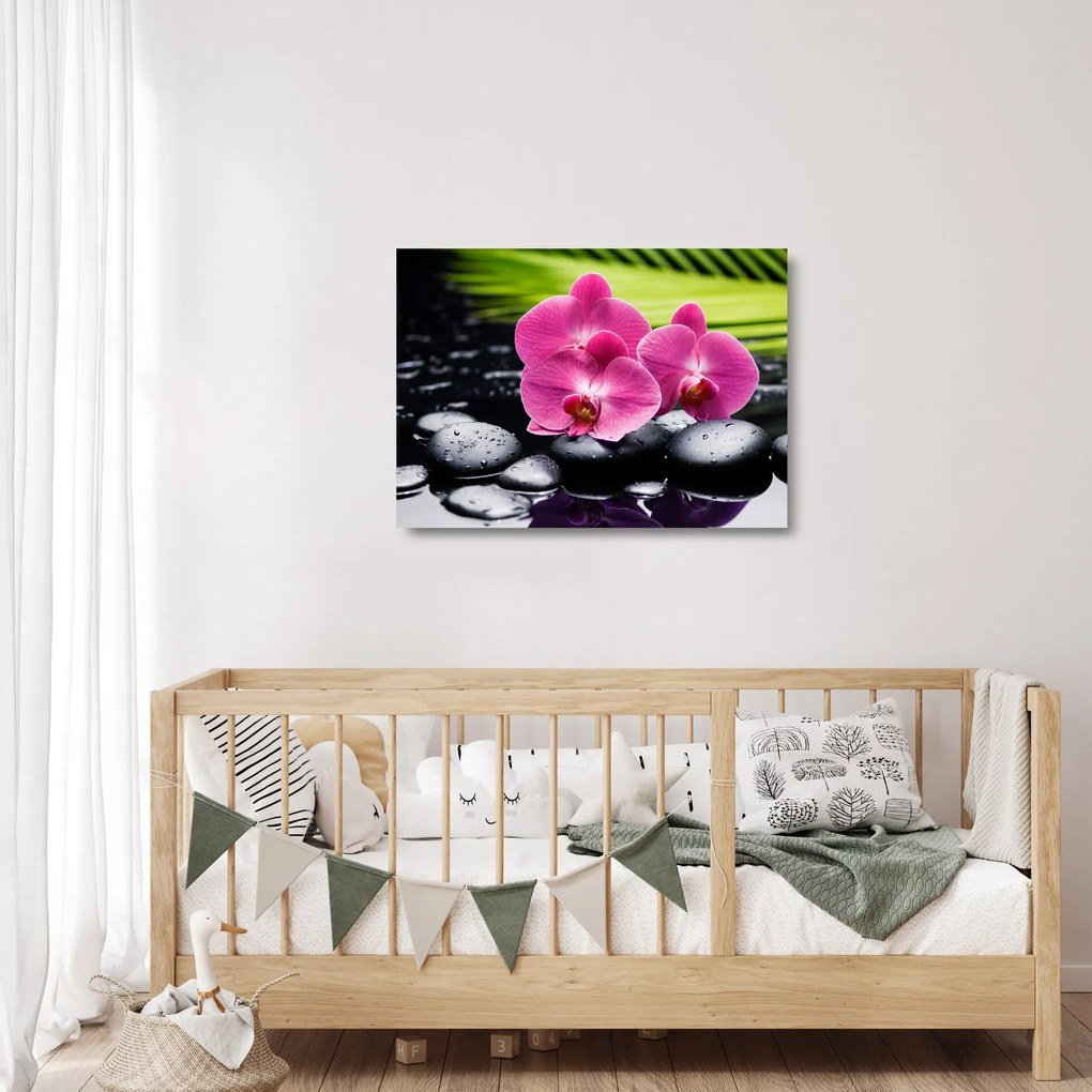Obraz na szkle - Różowe orchidee z liściem palmy (70x50 cm)