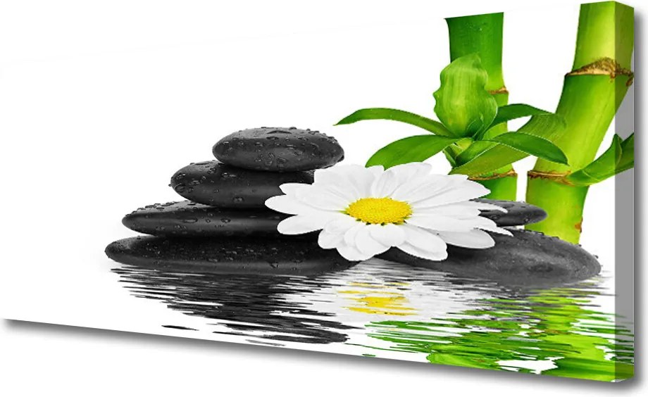 Obraz canvas Harmonijna Kompozycja Zen z Bambusem