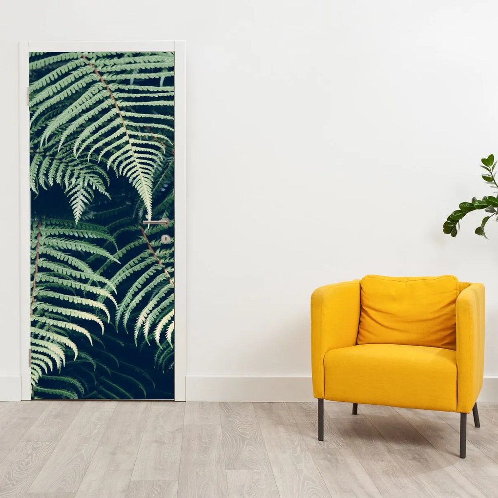 Fototapeta na drzwi - Liście paproci (95x205cm)