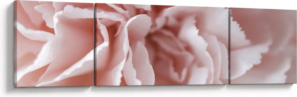 Obraz - Szczegół kwiatu (170x50 cm)