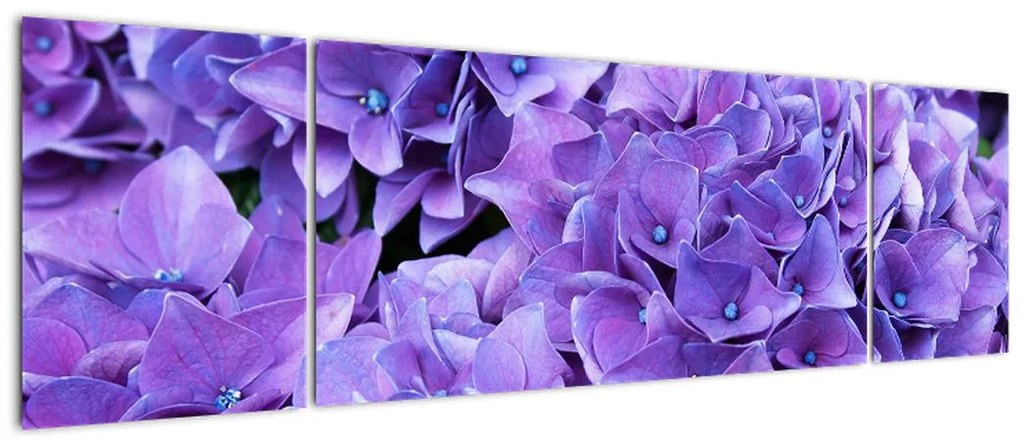 Obraz fioletowych kwiatów (170x50 cm)