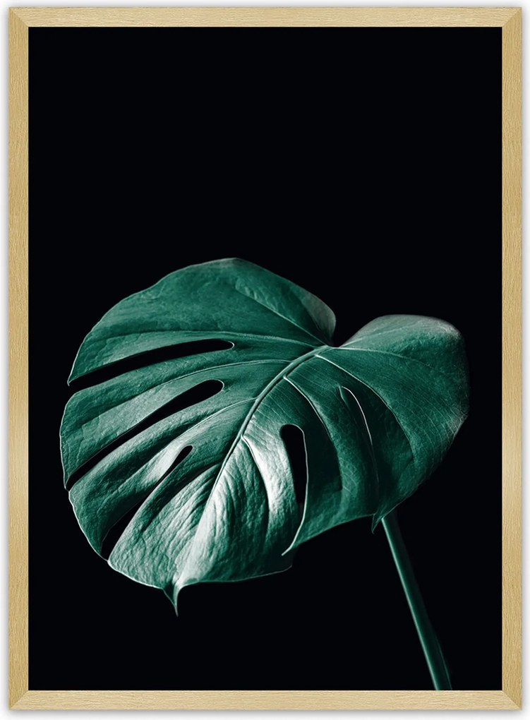 Plakat Dark Monstera