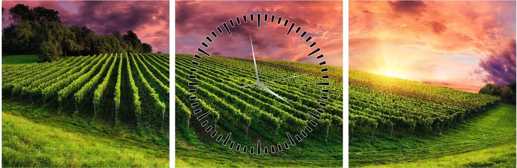 Obraz winnicy z kolorowym niebem (z zegarem) (90x30 cm)
