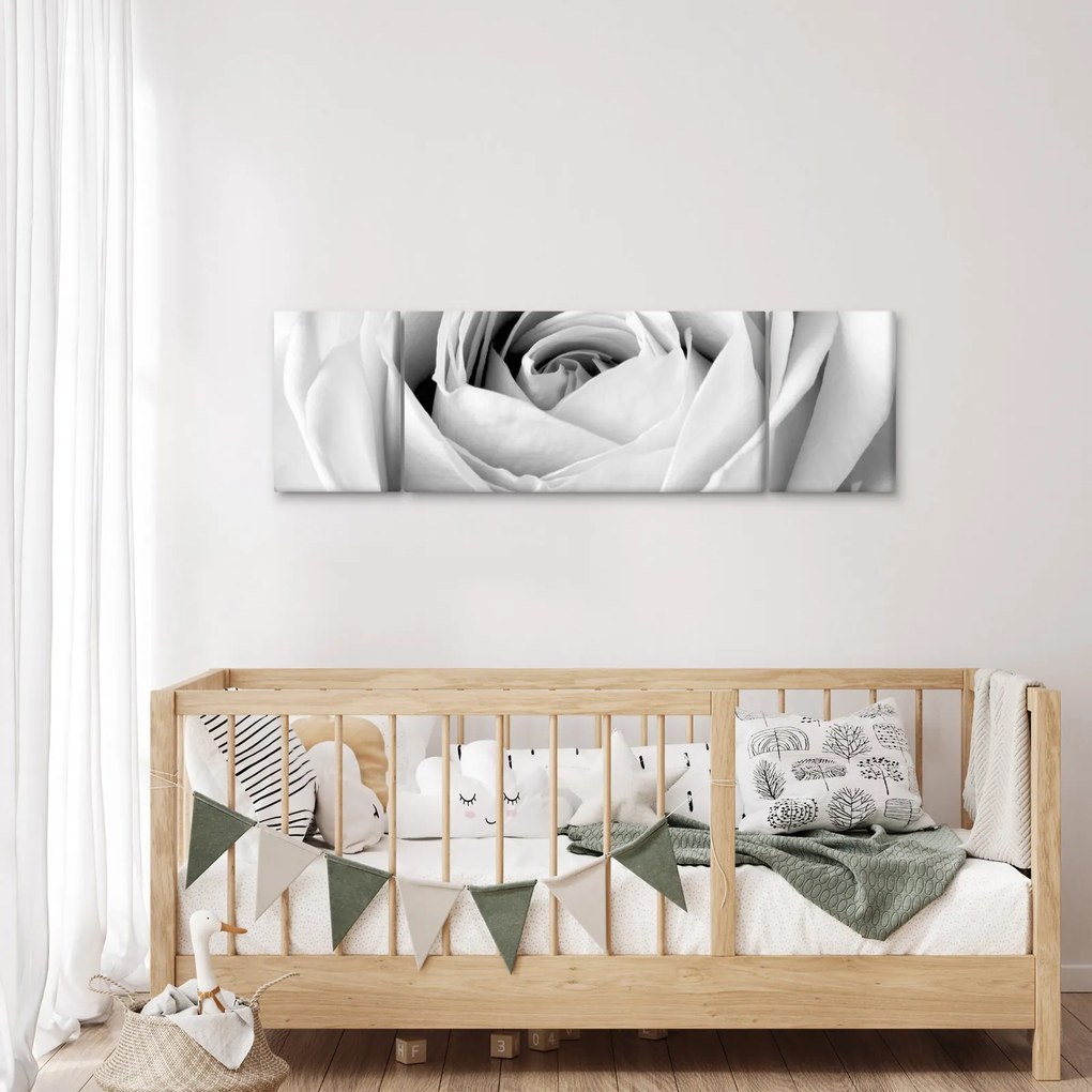 Obraz - Detal kwiatu róży (170x50 cm)