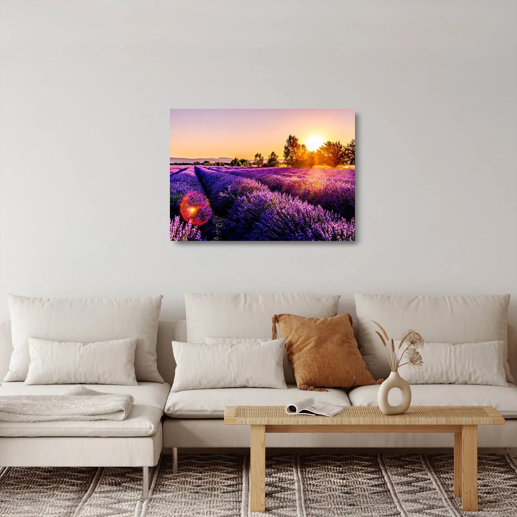Obraz na szkle - lawendowe pole (70x50 cm)