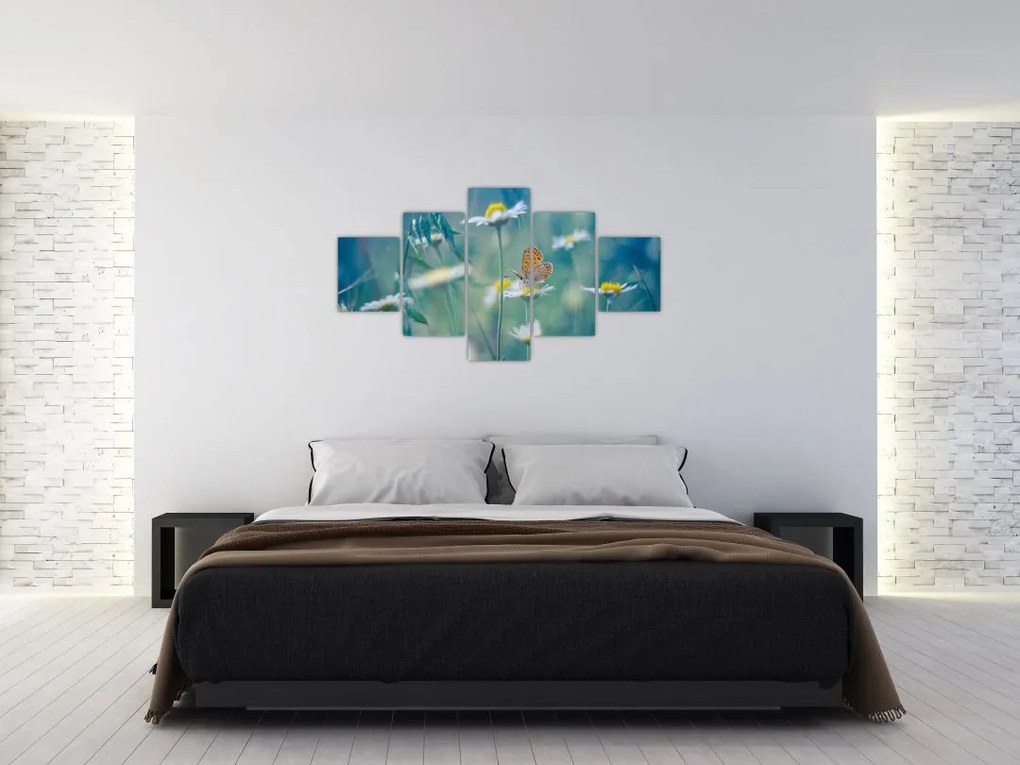 Obraz - Motyl na stokrotce (125x70 cm)