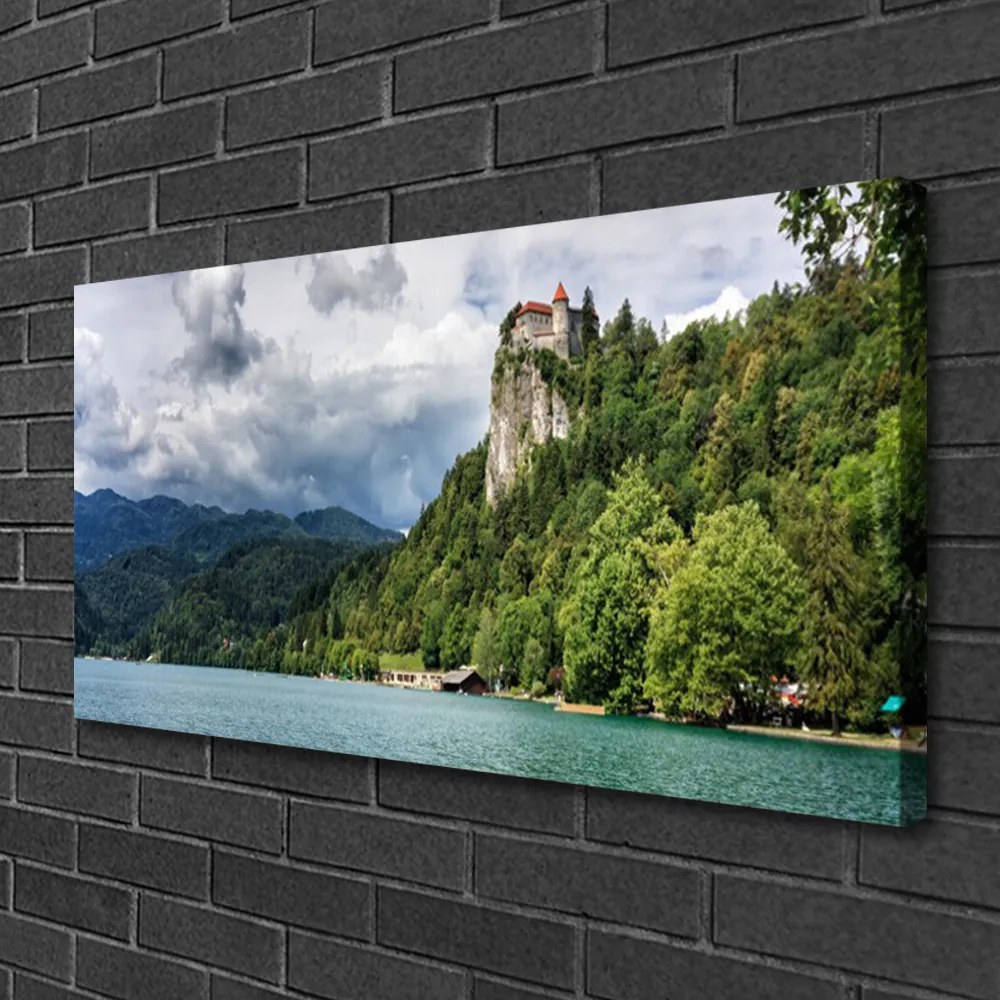Obraz Canvas Zamek w Górach Las Krajobraz
