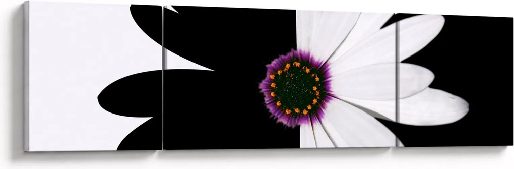 Obraz czarno - białego kwiatu (170x50 cm)