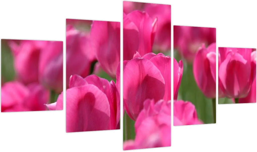 Obraz - Różowe tulipany (125x70 cm)