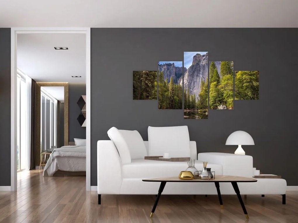 Obraz - Pod Yosemite Rock (125x70 cm)