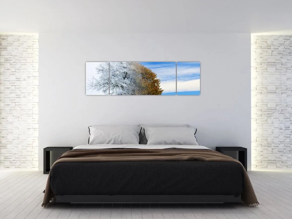 Obraz - Zmiana pór roku (170x50 cm)