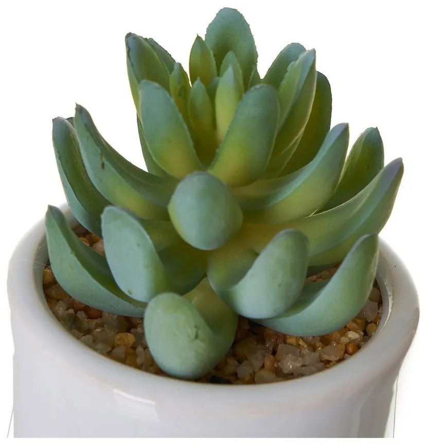 Sztuczne kwiaty zestaw 4 szt. Cactus – Casa Selección