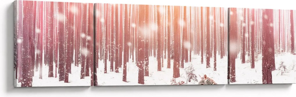 Obraz - Zebra w śnieżnym lesie (170x50 cm)