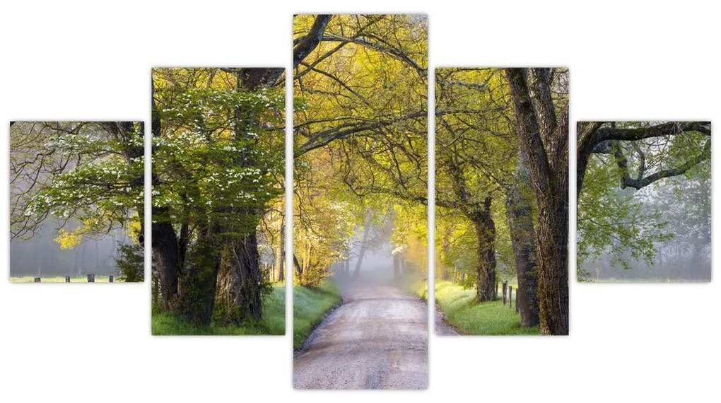 Zdjęcie - Smoky Mountains, Gatlinburg, USA (125x70 cm)