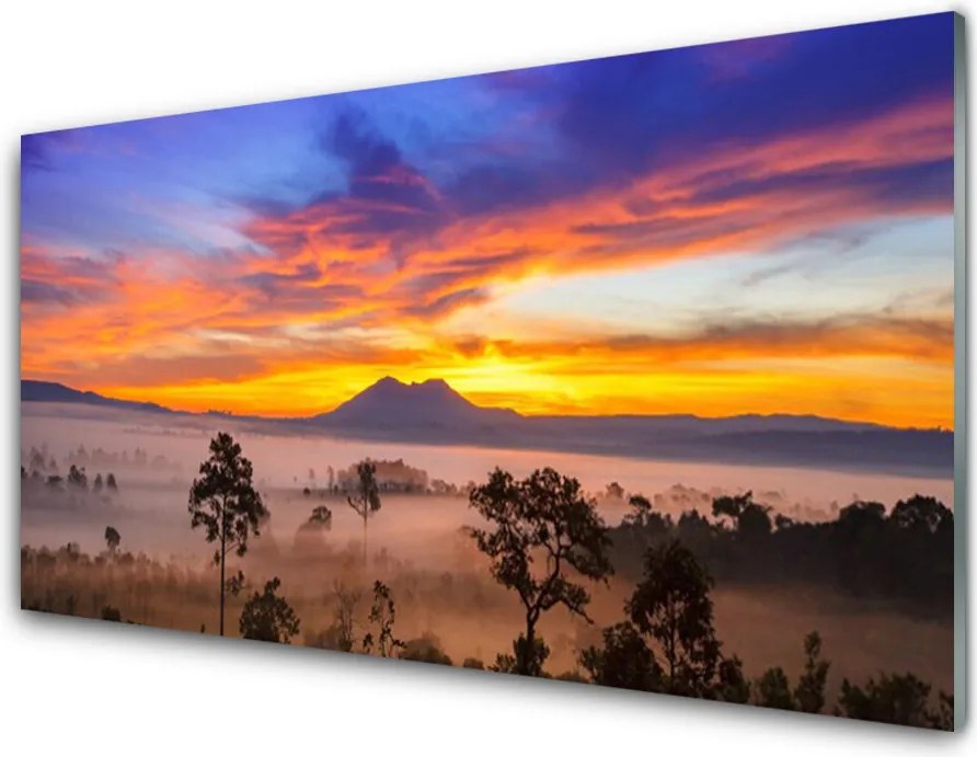 Szkło do Kuchni na Ścianę Tajemniczy Bór We Mgle