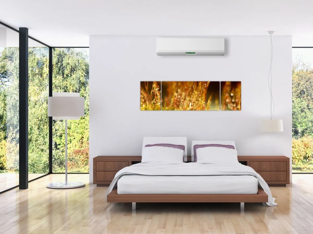 Obraz - Szczegół rosy (170x50 cm)
