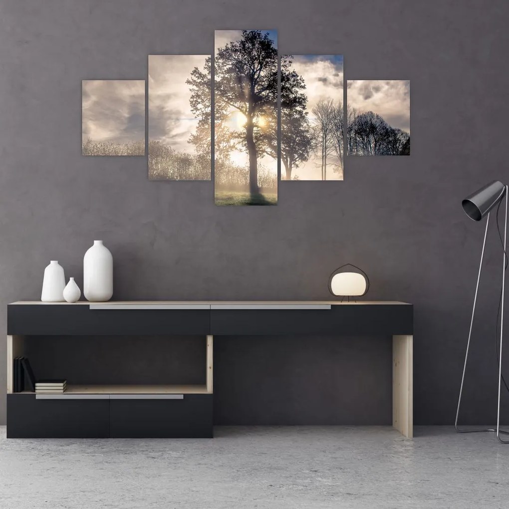 Obraz drzewa we mgle (125x70 cm)